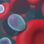Gemeinsam gegen Malaria: Deine Rolle im Kampf gegen die Krankheit