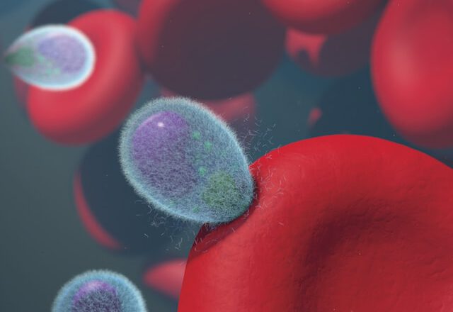 Gemeinsam gegen Malaria: Deine Rolle im Kampf gegen die Krankheit