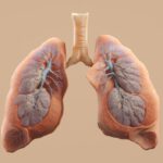 gesundoo Durchatmen lernen Sauerstofftherapie bei COPD – Alles, was du jetzt wissen musst