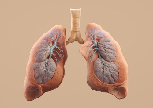 Durchatmen lernen: Sauerstofftherapie bei COPD – Alles, was du jetzt wissen musst
