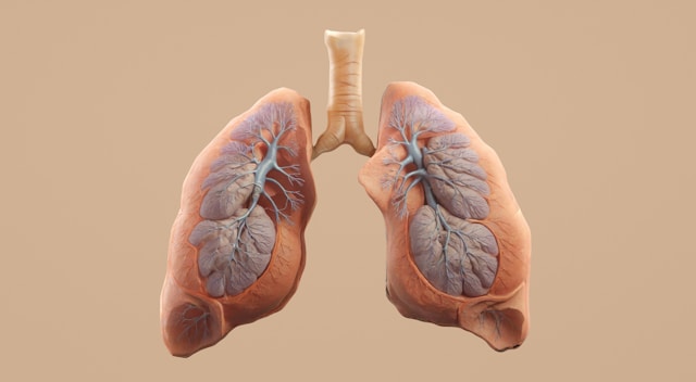 Durchatmen lernen: Sauerstofftherapie bei COPD – Alles, was du jetzt wissen musst