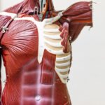 Fibromyalgie vs. Rheuma: Die entscheidenden Unterschiede einfach erklärt