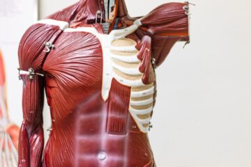 Fibromyalgie vs. Rheuma: Die entscheidenden Unterschiede einfach erklärt
